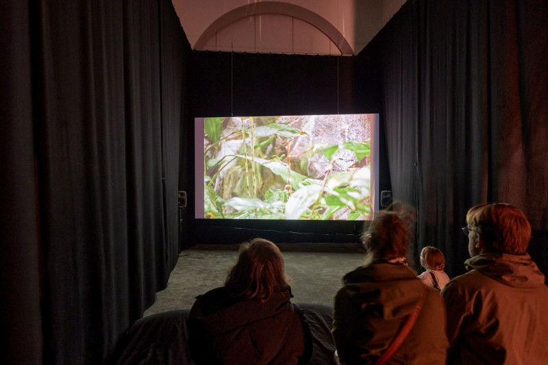 Visitors sit in the video room and watch Emma Charles' video work “White Mountain”