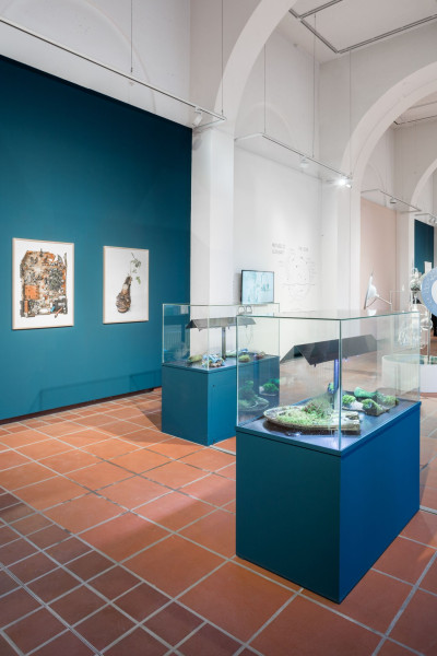 Gallery space without visitors. On the wall are two photographic prints depicting garbage and plants. In front of them are two display cases containing everyday objects on which plants are growing