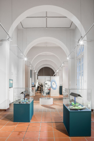 View of the gallery space. In the foreground are two display cabinets in which everyday objects are placed with plants growing over them. Behind them is an installation that deals with the subject of bacteria