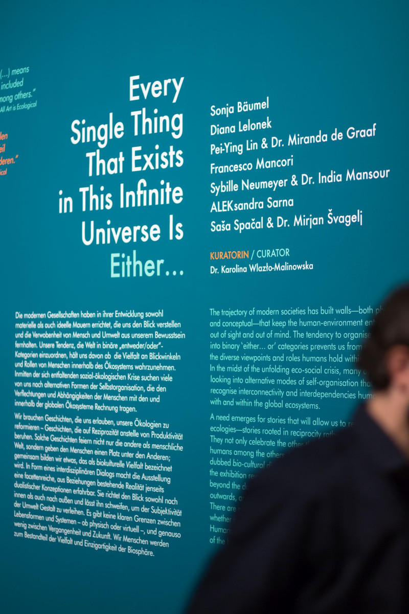 Text an der Wand zur Einführung des Ausstellungsthemas