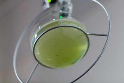 Bottom view of a laboratory glass in a metal holder