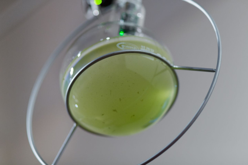 Unteransicht eines Laborglases in einer Metallhalterung