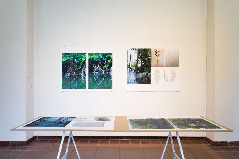 An der Wand und auf einer davorstehenden Tischplate sind jeweils mehrere farbige Fotodrucke mit Naturaufnahmen ausgestellt. Darauf sind Abdrücke, die mit schwarzem Öl Abdrücke gepresst wurden.