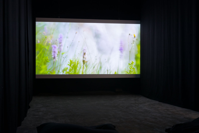 In a dark video room, the video projection of the artist Ingrid Torvund can be seen.