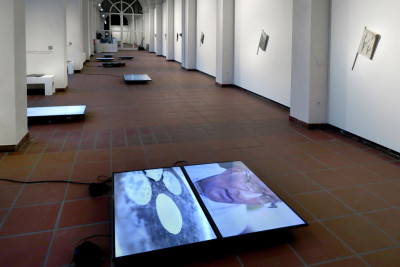 View of the gallery space up to the reception. Screens are scattered on the floor. The magazine TIEMPO MUERTO (Dead Time) is displayed several times on the walls