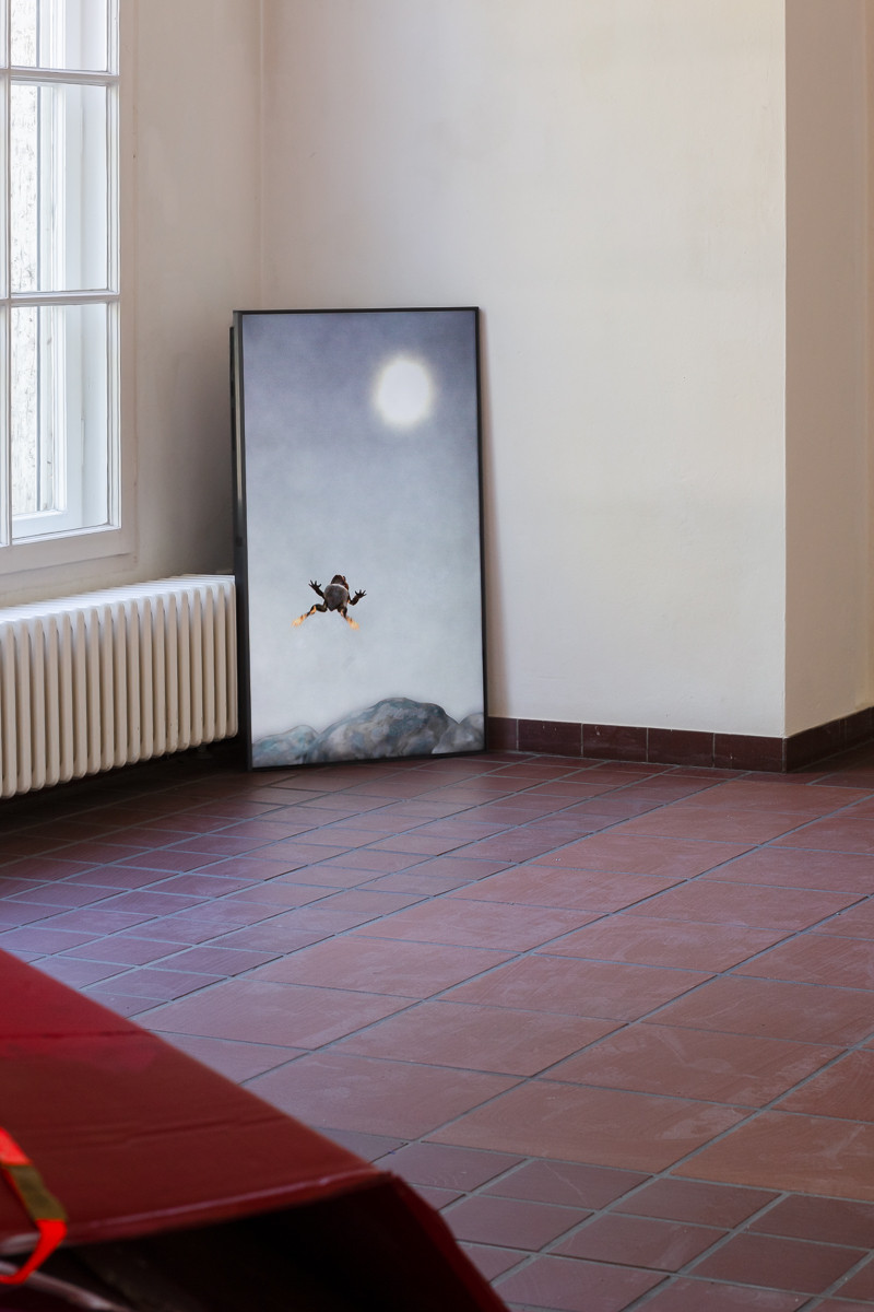 text: >
  Videostill eines über einer Landschaft
  springenden Froschs unter Vollmond in
  minimalistischer Komposition
decorative: false
source: reviewed
