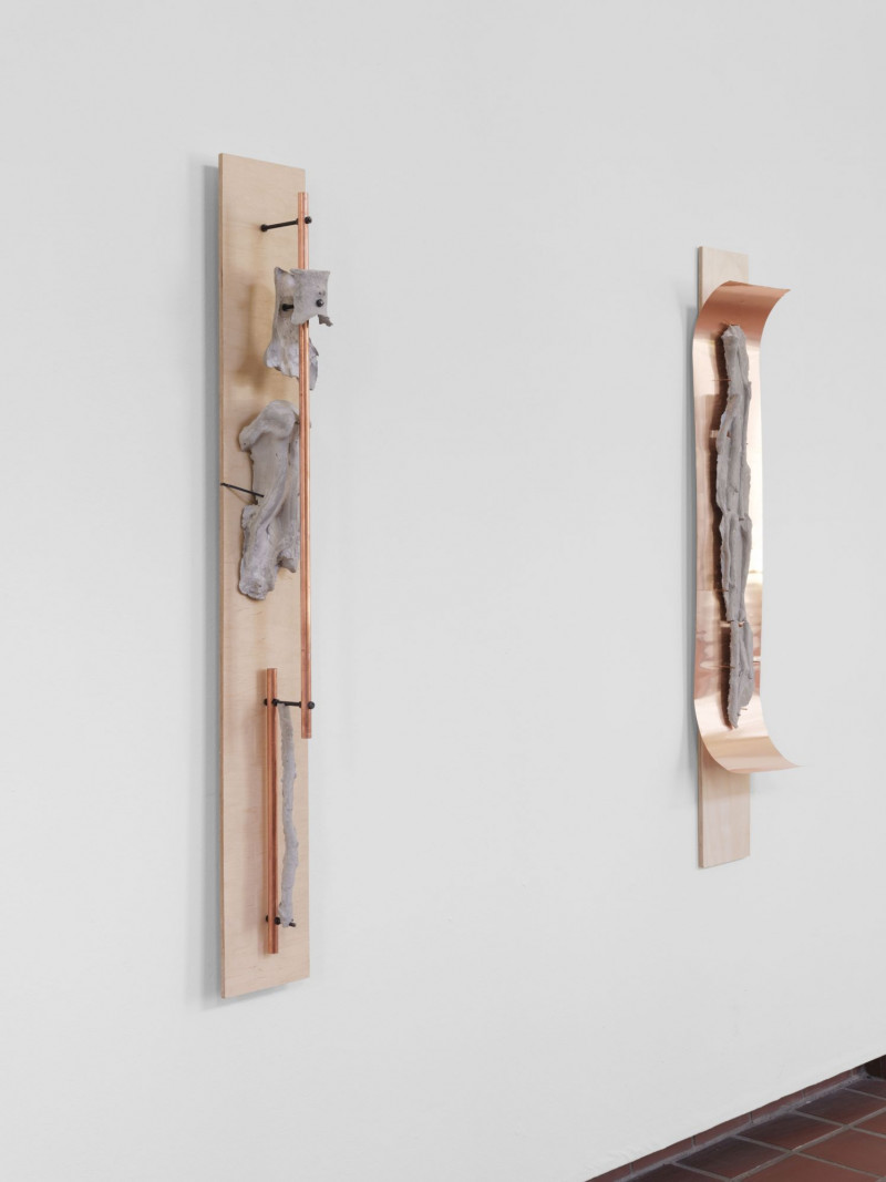 Mixed-media installation (3 parts); copper pipes, copper nails, copper sheet, aluminium profiles, nuts, threaded rods, ball joints, plywood, concrete, apple tree roots and engraving.