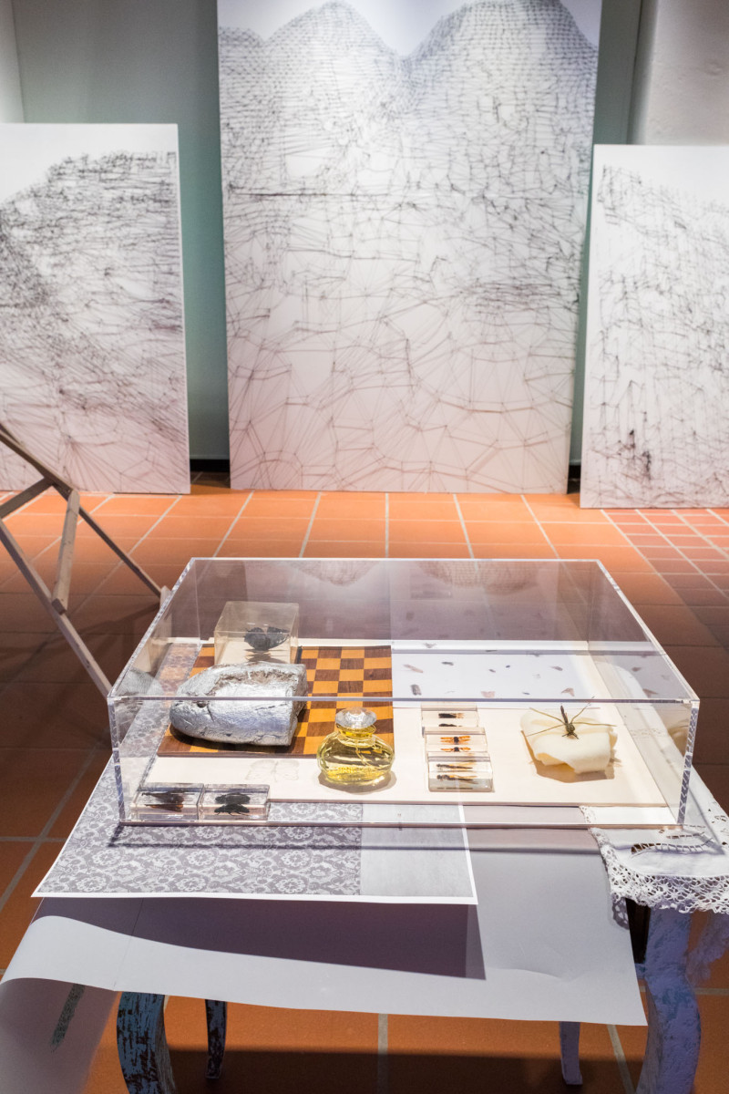 Glass display case with objects. At the back of the room are large pictures.