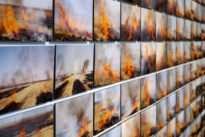 Detailaufnahme der Fotoarbeit von Sinem Disli