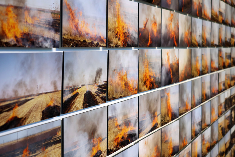 Detailaufnahme der Fotoarbeit von Sinem Disli