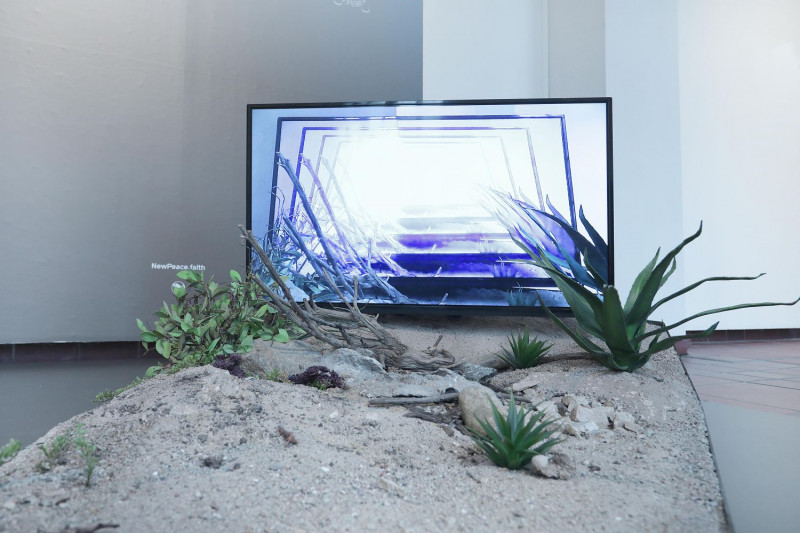 Ein Bildschirm steht auf einem niedrigen, auf dem Boden stehenden Kasten, der mit Sand und Pflanzen gefüllt ist. Auf dem Bildschirm ist die Draufsicht auf diese Installation in unendlicher Wiederholung zu sehen.