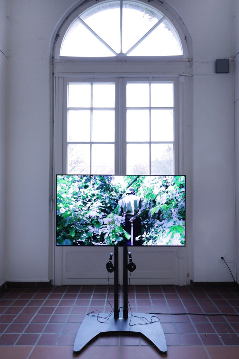 Auf einem großen Bildschirm ist eine Videoaufnahme aus einem Dschungel zu sehen.