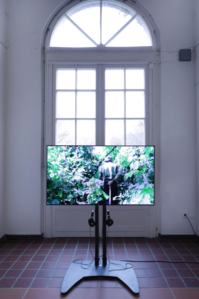 Auf einem großen Bildschirm ist eine Videoaufnahme aus einem Dschungel zu sehen.