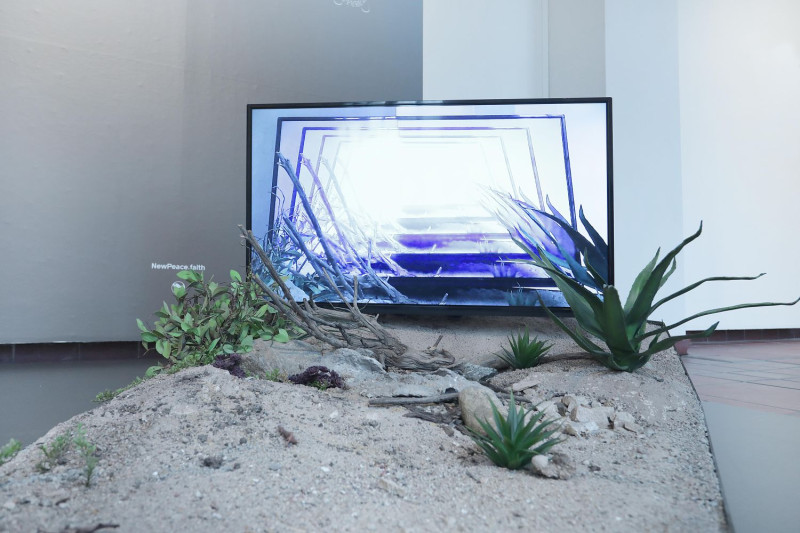 Ein Bildschirm steht auf einem niedrigen, auf dem Boden stehenden Kasten, der mit Sand und Pflanzen gefüllt ist. Auf dem Bildschirm ist die Draufsicht auf diese Installation in unendlicher Wiederholung zu sehen.