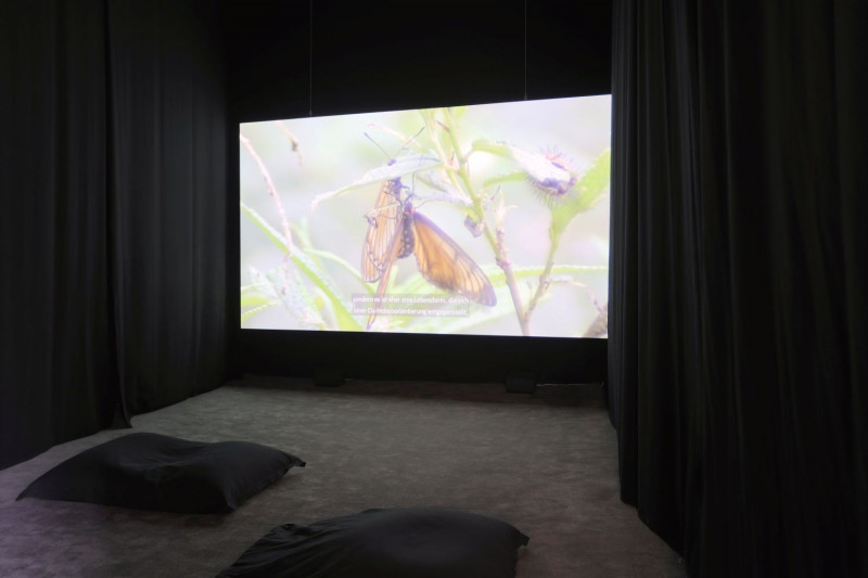In einem verdunkelten Videoraum ist eine Filmserie an die Wand projiziert, die ein Naturbild zeigt.