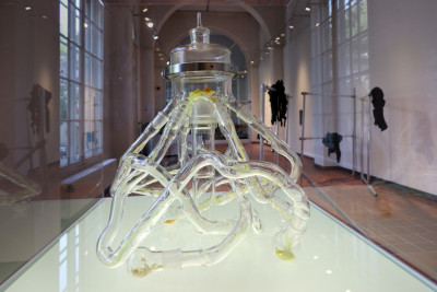 Unter einer Glashaube ist ein Glasgefäß zu sehen, das aus mehreren gebogenen Röhrchen besteht, die sich von dem zentralen Gefäß aus wie Krakenarme in verschiede Richtungen ausbreiten. Darin erkennt man gelb- und orangenfarbene Pilzkulturen.