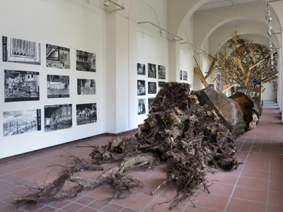 View of the room. The installation with tree roots is in the middle of the room. Black and white pictures hang on the walls.