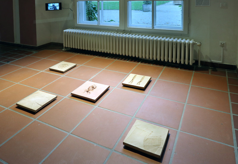 Fünf auf dem Boden platzierte Keramikplatten in Erdtönen. Die Keramikplatten enthalten Hohlformen von symbolischen Ornamenten. Im Hintergrund ist ein Fenster sowie ein seitlich an der Wand montierter kleiner Bildschirm zu sehen, auf dem ein Video läuft.