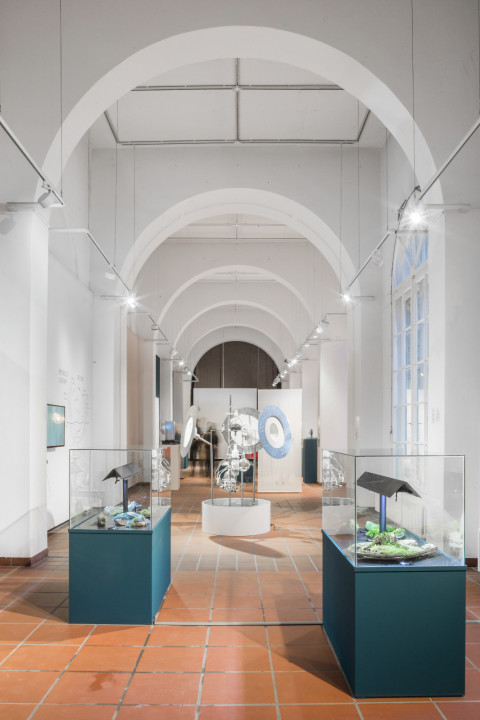 The picture shows the view into the gallery in Körnerpark, in the foreground are two showcases with mosses and plants