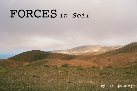 Bild für Forces in Soil