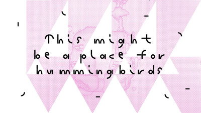 Vor einem Weißen Hinterrund mit Rosanene Ecken steht der Titel der Ausstellung: This might be a place for hummingbirds